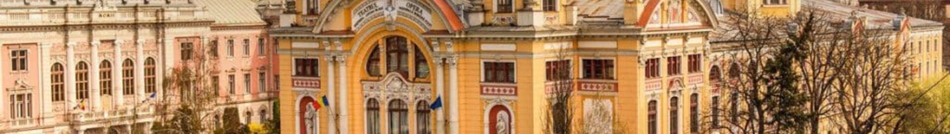 Cluj Napoca : închiriere avion privat 