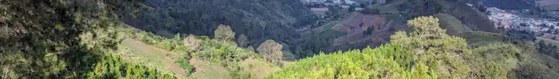 Constanza : închiriere avion privat