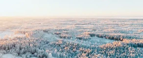 Finlanda: închiriere de avioane private