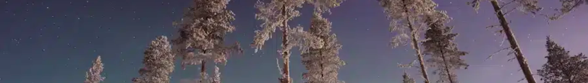Gallivare Lapland : închiriere avion privat