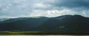 Gelendzhik : închiriere avion privat
