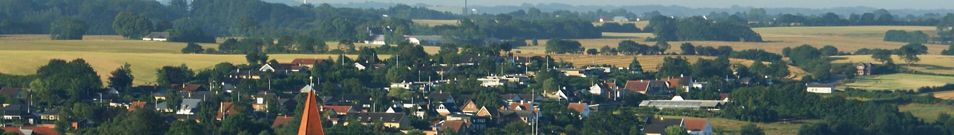 Haderslev : închiriere avion privat 