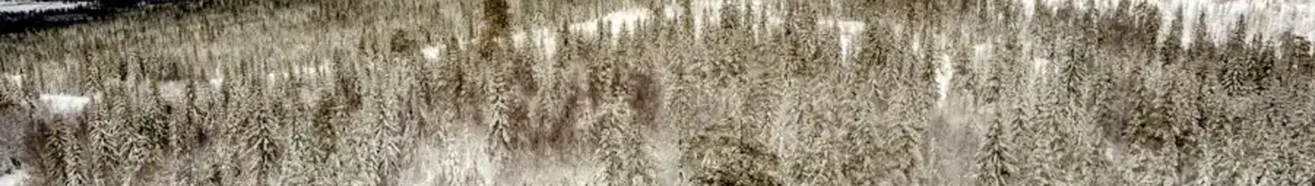 Hagfors : închiriere avion privat