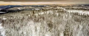 Hagfors : închiriere avion privat