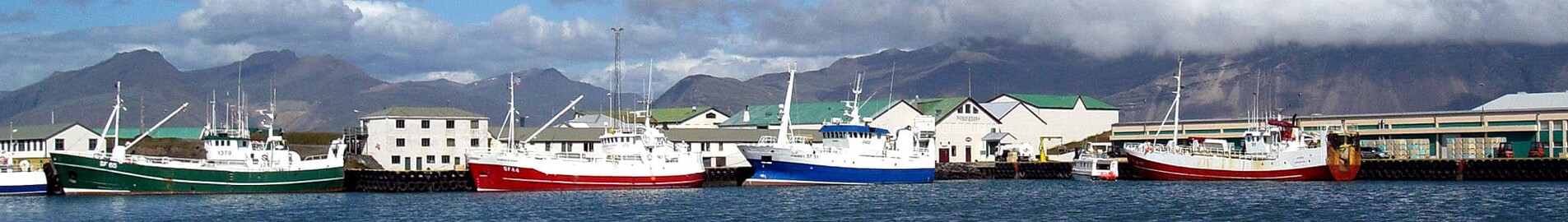 Hofn Hornafjordur : închiriere avion privat 