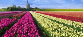 Middelburg Midden Zeeland : location de jet privé