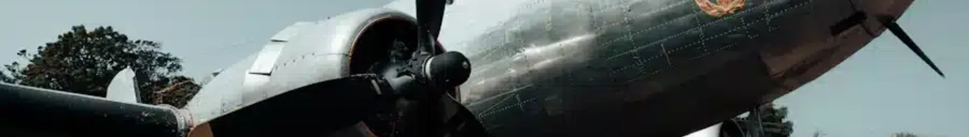 Karlsborg : închiriere avion privat