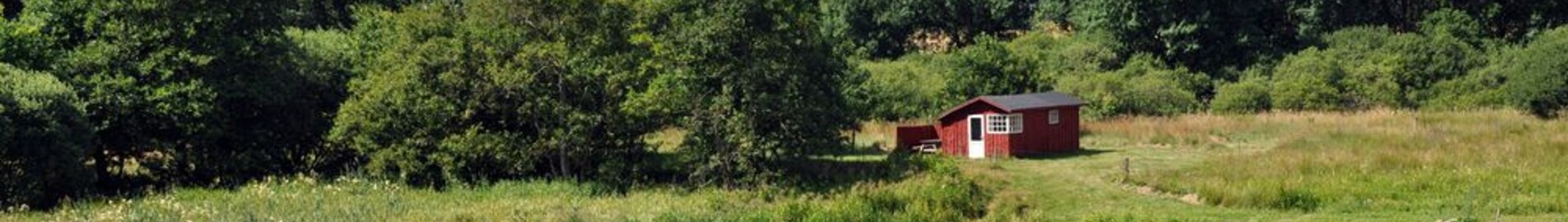 Karup: închiriere avion privat 