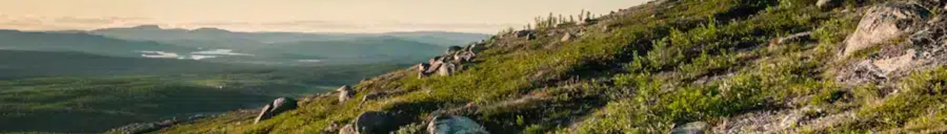 Kiruna : închiriere avion privat