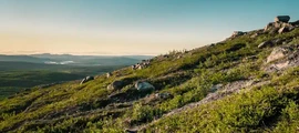 Skelleftea : închiriere avion privat