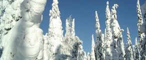 Kuusamo : închiriere avion privat 