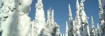 Cavle Grobnik : location de jet privé