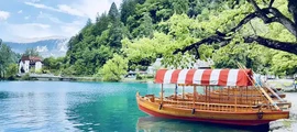 Portoroz : închiriere avion privat
