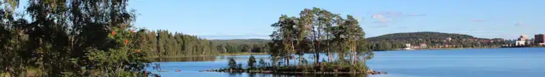 Ludvika: închiriere de avioane private