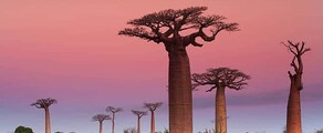 Madagascar: Închiriere de avioane private