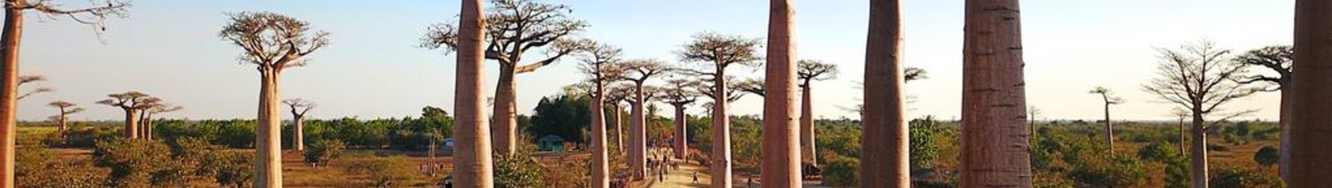 Morondava : închiriere avion privat