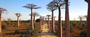 Morondava : închiriere avion privat