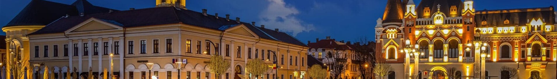 Oradea : închiriere avion privat 