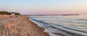 Palanga : închiriere avion privat 