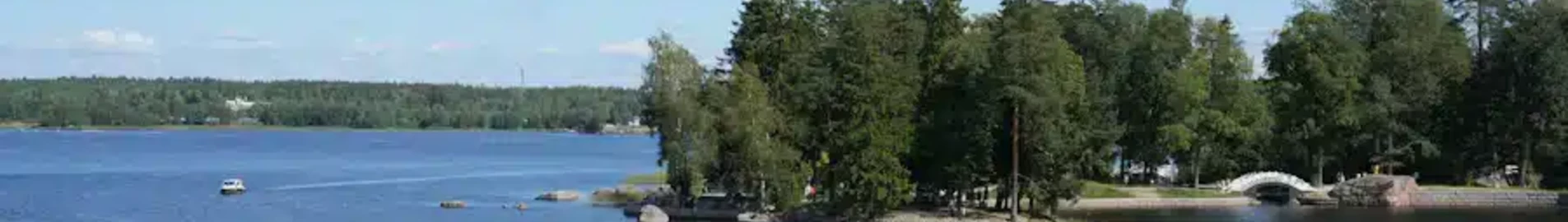 Platov: închiriere de avioane private