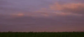 Simferopol: închiriere avion privat