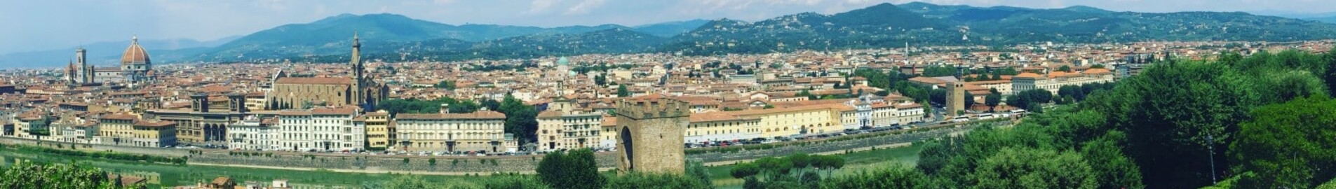 Pontedera : închiriere jet privat 