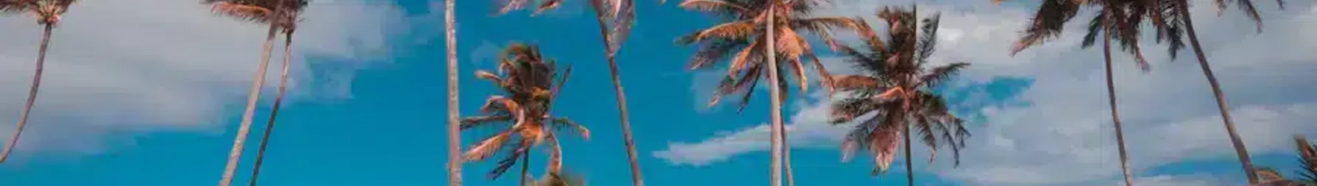 Punta Cana: închiriere avion privat