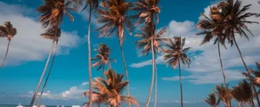Punta Cana: închiriere avion privat