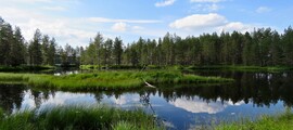 Kouvolaselanp Selanpaa : închiriere avion privat 