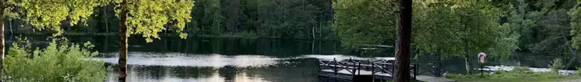 Ronneby : închiriere avion privat