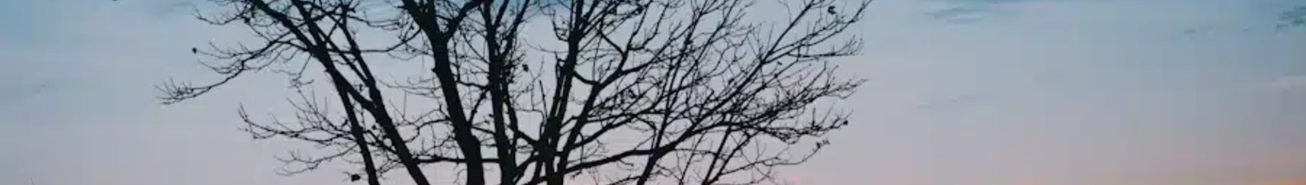Saratov Tsentralny : închiriere avion privat