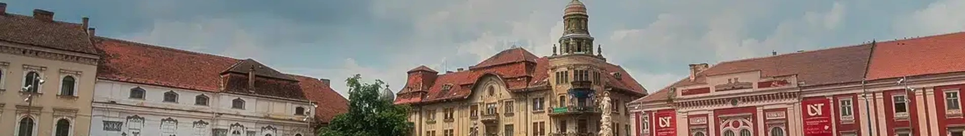 Satu Mare: închiriere avion privat