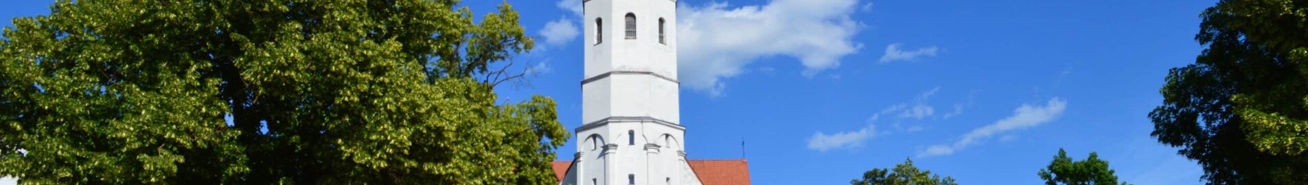Siauliai : închiriere avion privat 