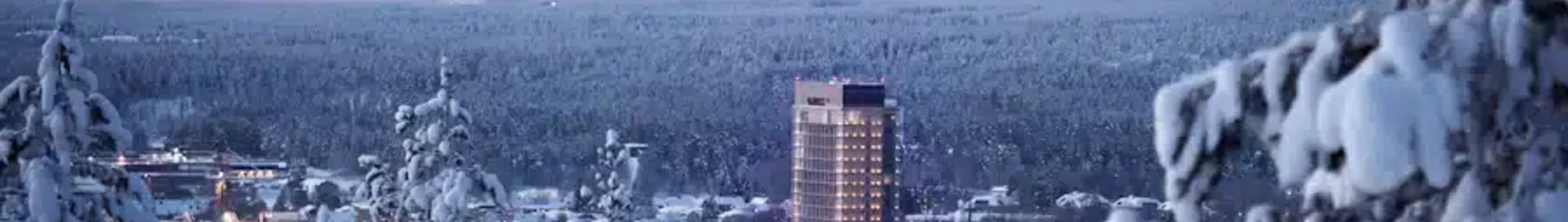 Skelleftea : închiriere avion privat