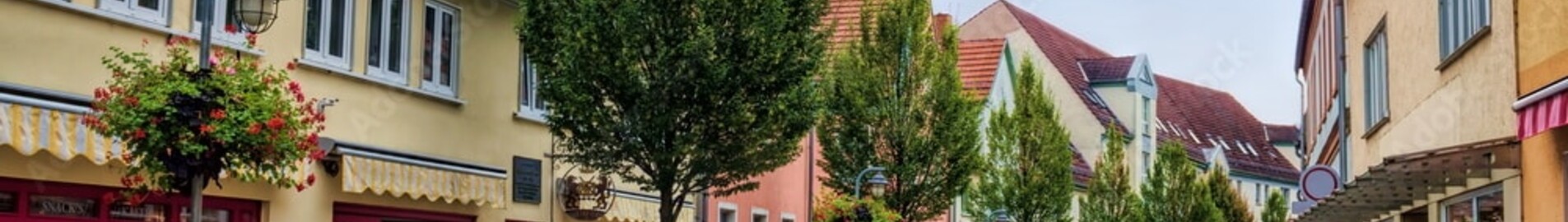 Sommerda : închiriere jet privat 