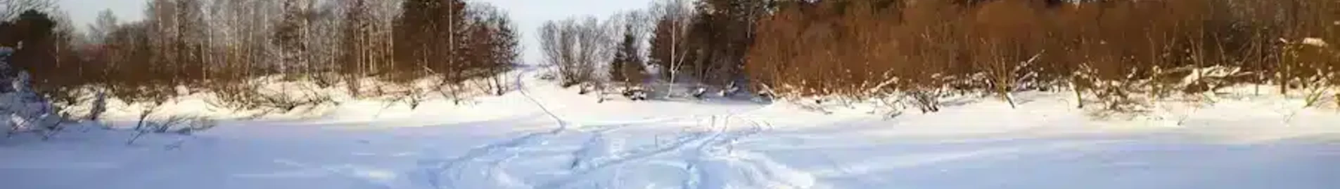 Syktyvkar : închiriere avion privat