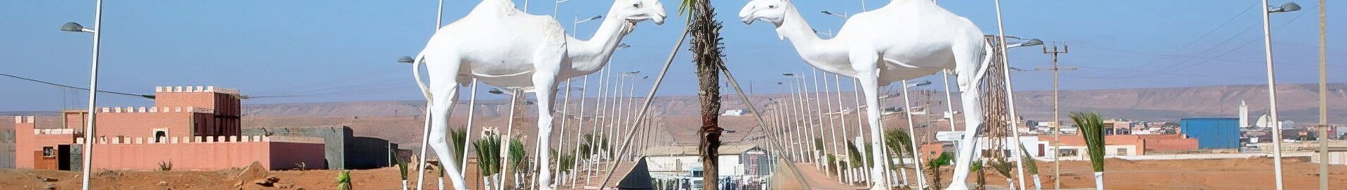 Tan-Tan : închiriere avion privat 