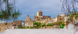 Închiriere avion privat în Carpi-Budrione