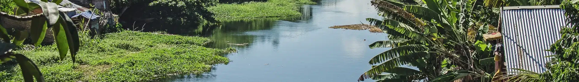 Toamasina : închiriere avion privat 