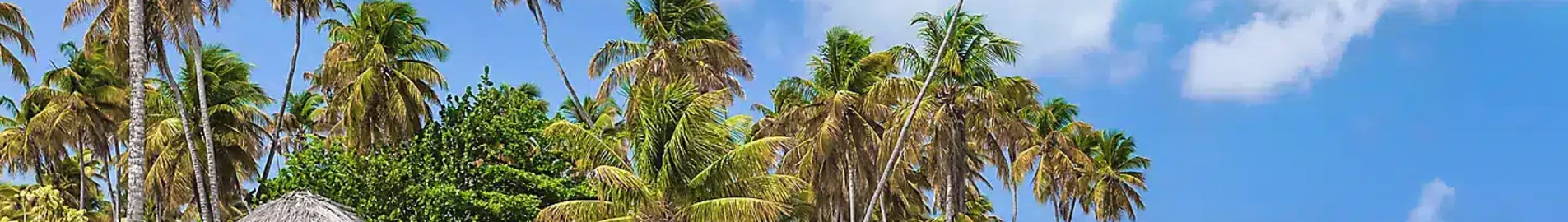 Tobago Scarborough Crown Point : închiriere avion privat 