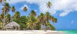 Trinidad Piarco : închiriere avion privat