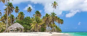 Tobago Scarborough Crown Point : închiriere avion privat 