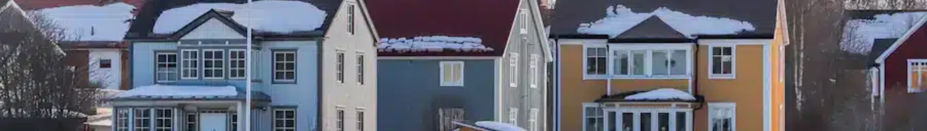 Umea: închiriere avion privat