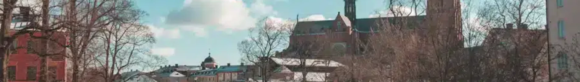 Uppsala : închiriere avion privat