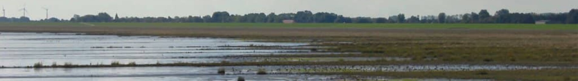 Wilhelmshaven Mariensiel : închiriere avion privat 
