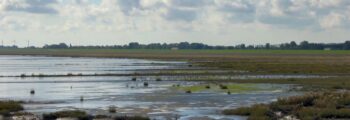 Stendal Borstel : location de jet privé