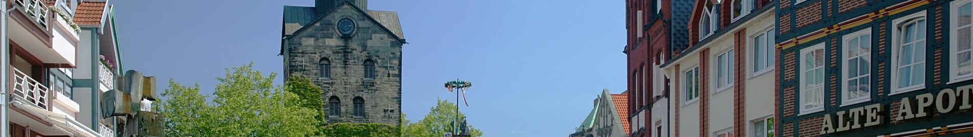 Wunstorf: închiriere avion privat 