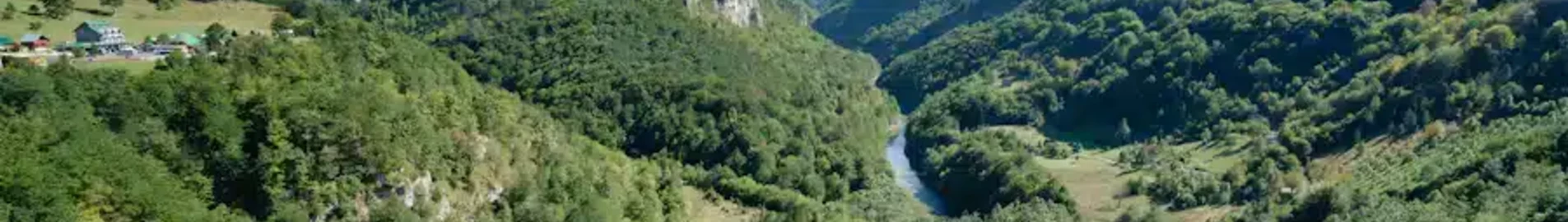 Žabljak : închiriere avion privat