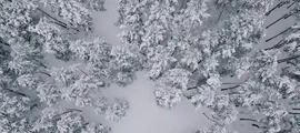 Ternopil: închiriere de avioane private