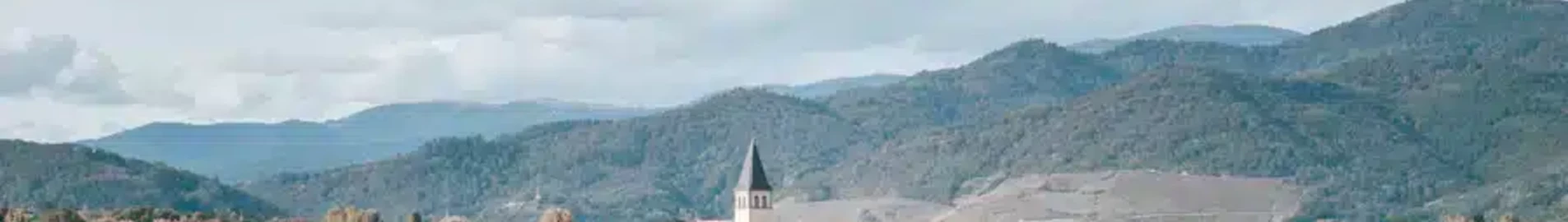 Tăiere